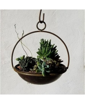 Blue Moon Hanging Planter