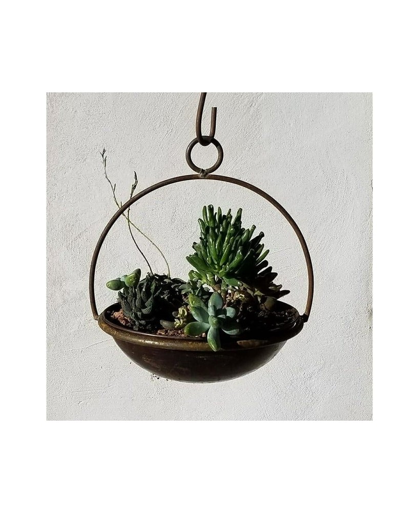 Blue Moon Hanging Planter