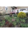 Large Pink Flamingo Yard Art