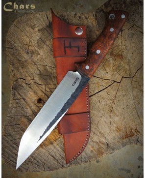 Premium Finished Bowie Knife with Elegant Design