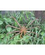 Metal Spider Sculpture - Handmade Rebar Yard Art for Man Cave