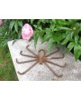 Metal Spider Sculpture - Handmade Rebar Yard Art for Man Cave