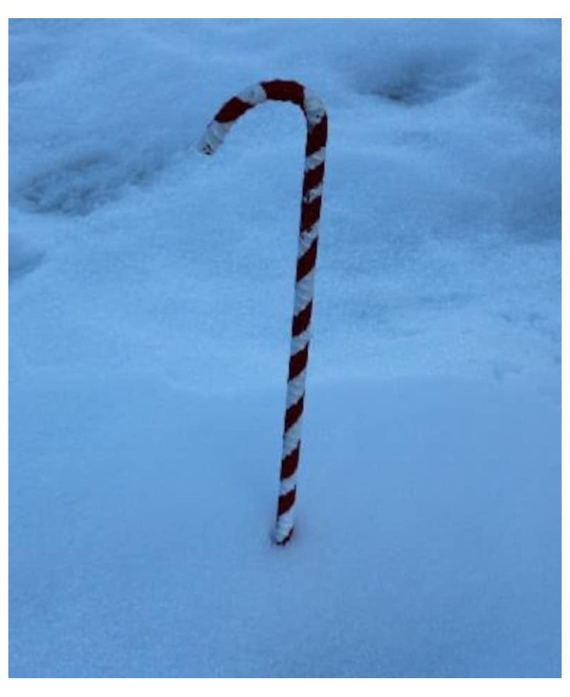 Handmade Rebar Candy Cane – Rustic Outdoor Holiday Decor Handmade Rebar Candy Cane – Rustic Outdoor Holiday Decor