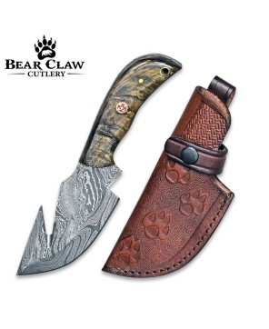 Damascus Gut Hook Knife with Ram Horn & Turquoise Handle