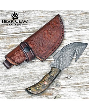 Damascus Gut Hook Knife with Ram Horn & Turquoise Handle