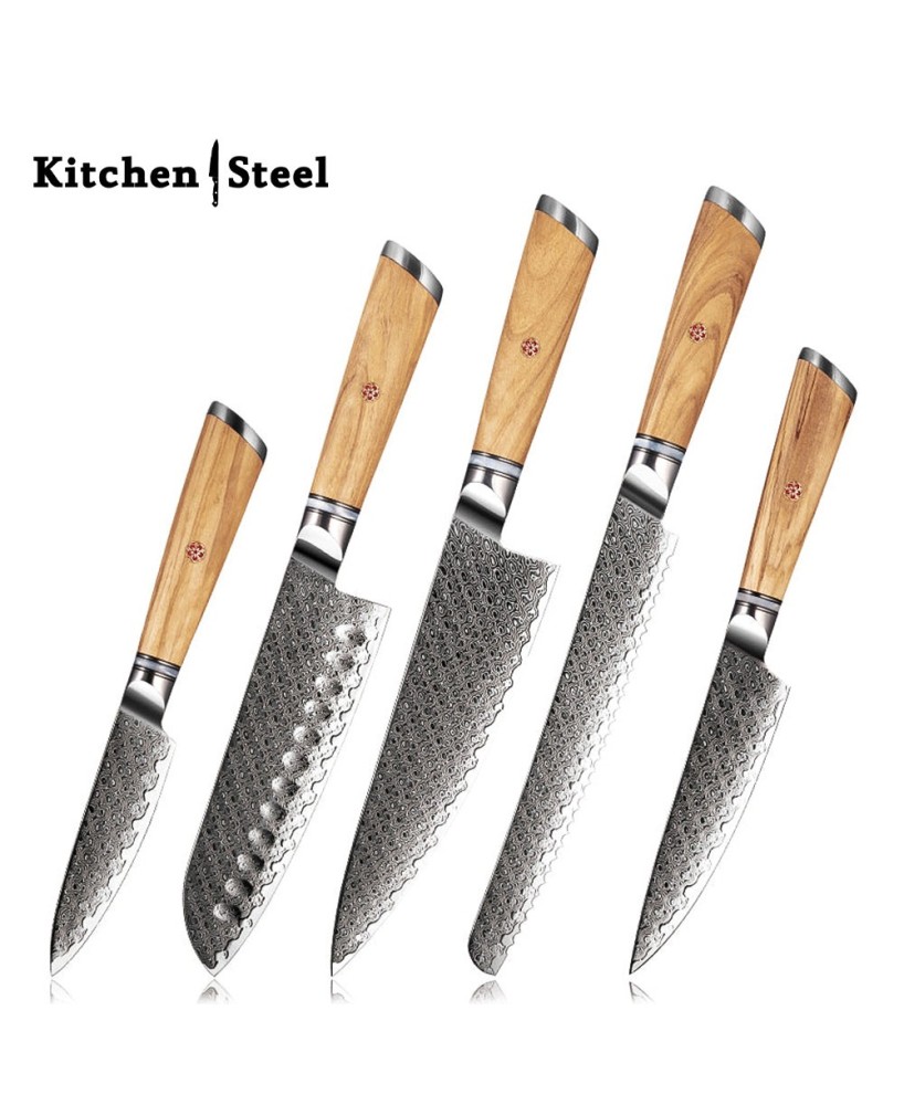 Jasmine 5-Piece VG10 Damascus Steel Knife Set – Pro Chef Knives