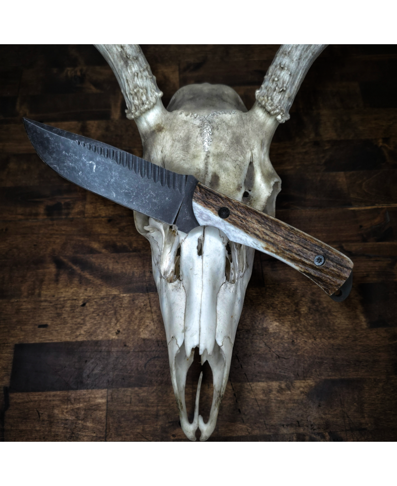 Lone Wolf Knife – AEB-L Stainless Steel Blade with Antler Handle