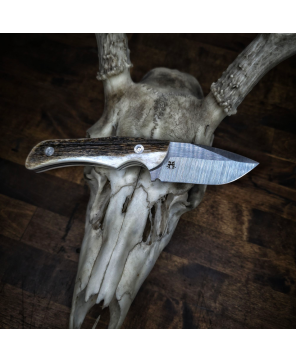 Kodiak Cub Knife – AEB-L Stainless Steel Blade with Antler Handle