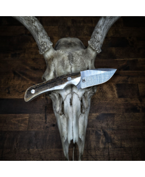 Kodiak Cub Knife – AEB-L Stainless Steel Blade with Antler Handle